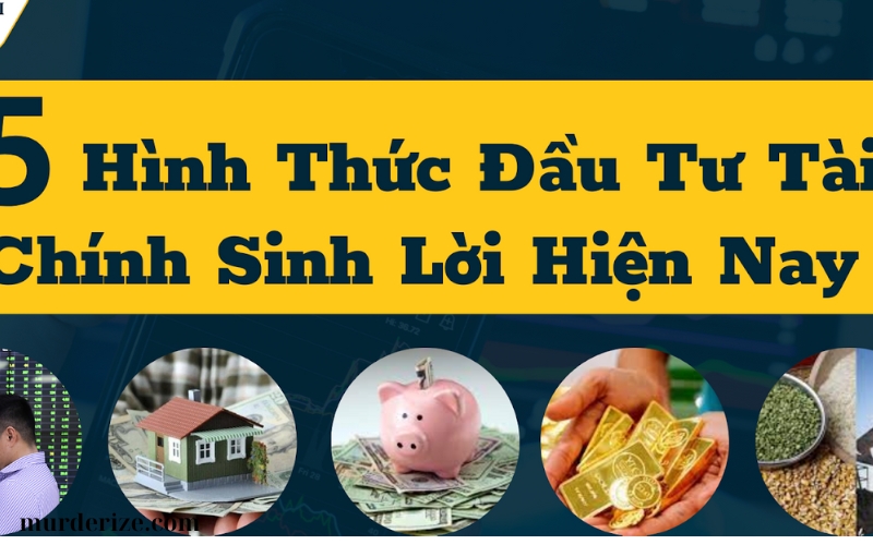 CÁC LOẠI HÌNH ĐẦU TƯ CƠ BẢN (2)