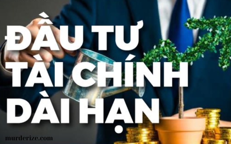 ĐẦU TƯ DÀI HẠN VÀ RỦI RO (2)