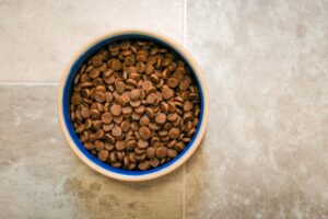 Raw Feeding for Dogs and Cats Pros and Cons