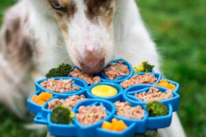 Reading the Guaranteed Analysis on Pet Food Labels