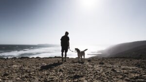 Rescue Tails Stories of Heroic Dogs