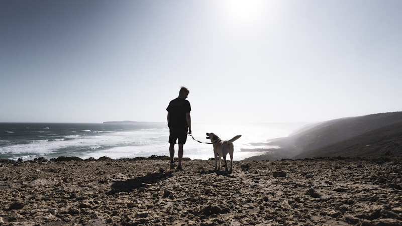 Rescue Tails Stories of Heroic Dogs