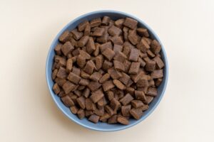 The Best Diets for Senior Pets