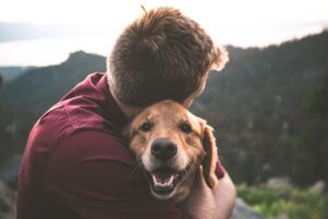 The Incredible Journey of Max the Dog