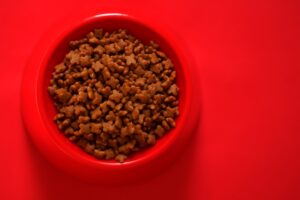The Truth About By-products in Pet Food