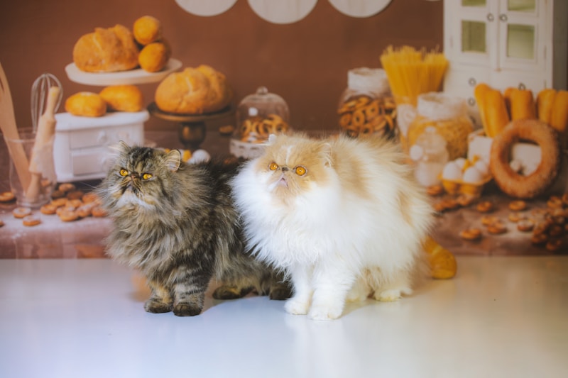Understanding Pet Food Allergies and Intolerances